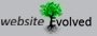 This website was made by Evolved websites